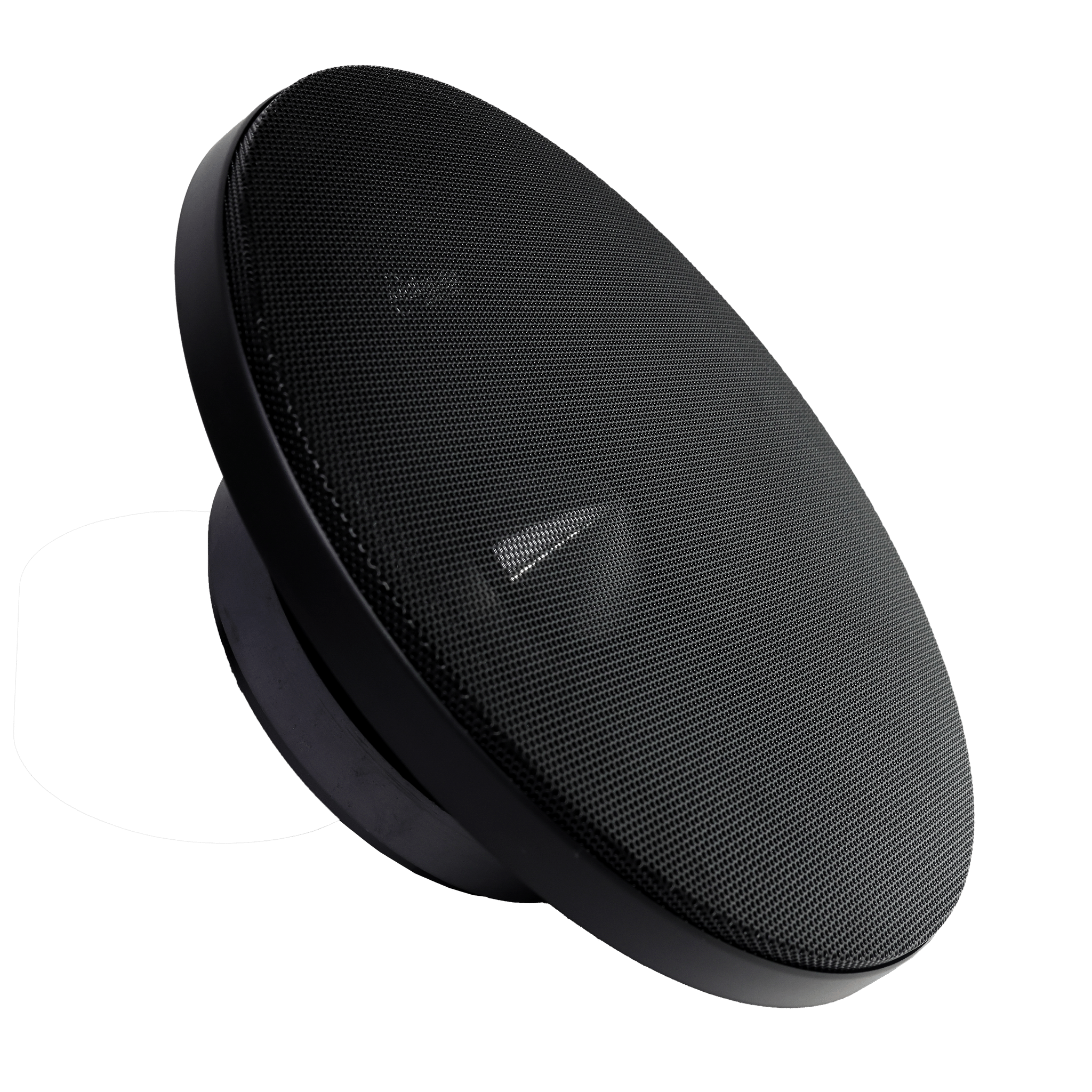 American Bass Godfather 10