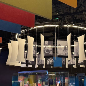 PolyZorbe™ Polyester Acoustic Baffles