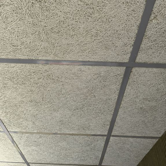 Timberwool™ Wood Wool Acoustic Ceiling Tiles