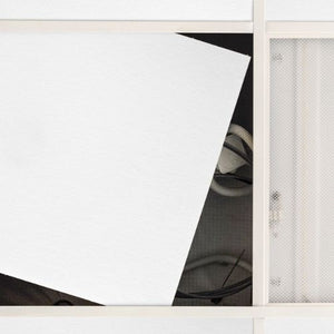 PolyZorbe™ Vivid Acoustic Ceiling Tiles